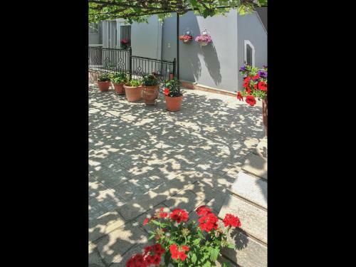 Apartamento Noras House