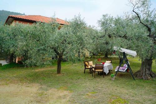 Olive's House