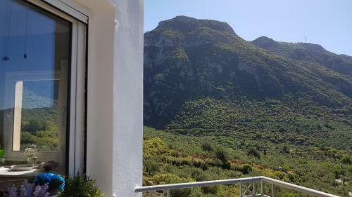 Spacious Retreat (queen Beds) Captivating Mnt View