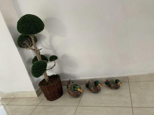Apartamento Maria's Modern Studio 5min From Beach
