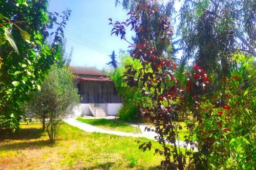 Agroturismo Vergia Studios