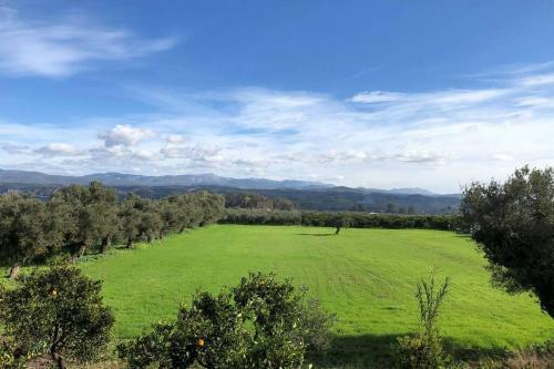 Apartment Taygetos