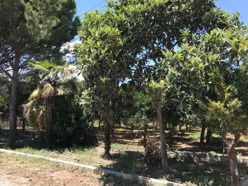 Apartamento Taygetos