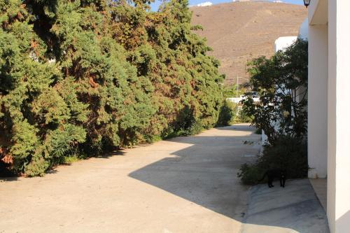 Apartamento Astypalea Villas