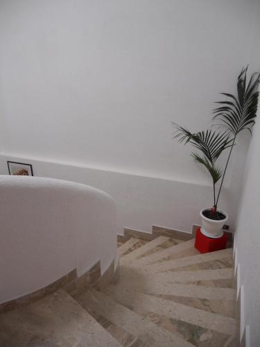 B&B Casa Solare Rakalia