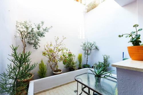 Apartamento Otto - Spacious Old Town House