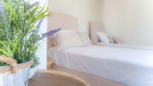 Apartamento Palazzino D Irene