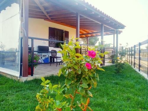 Celeste House