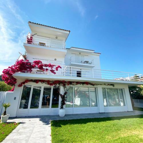 Anemoni Beach Hotel