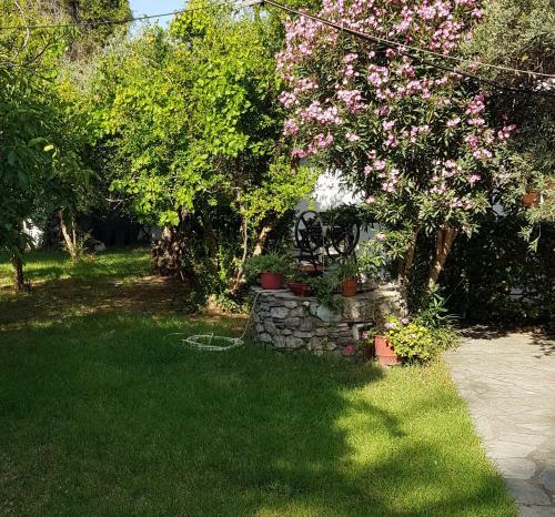 Apartamento Vasilis House