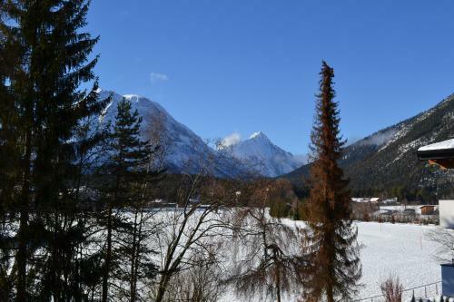 Apartamento Andys Bergblick