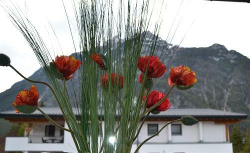 Apartamento Andys Bergblick