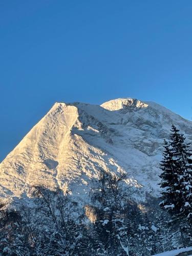 Apartamento W3 Haus Ganghofer