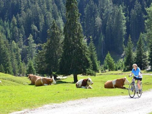 Agroturismo Xanderhof