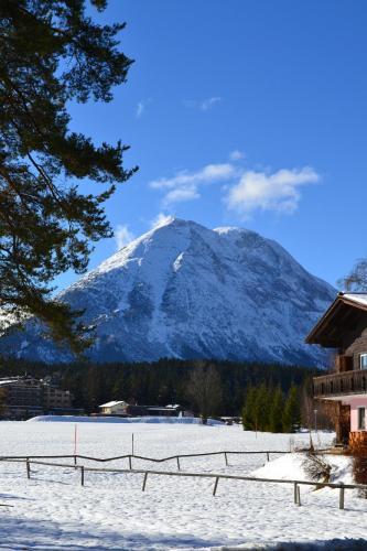 Apartamento Andys Bergjuwel