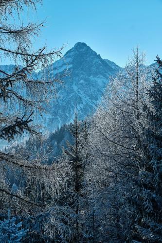 Apartamento Haus Lorea Ehrwald