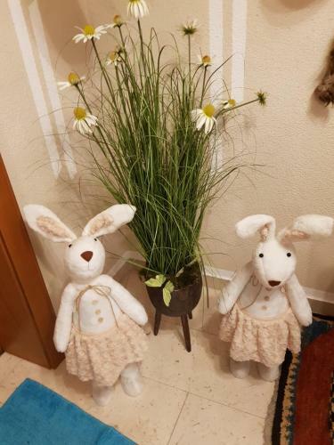 Apartamento Haus Guem