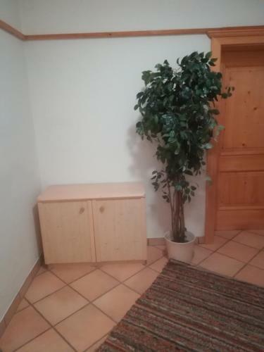 Apartment Eva