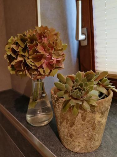 Apartamento Sonnenheim