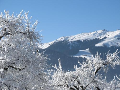 Apartment Gratlspitz - Wil260