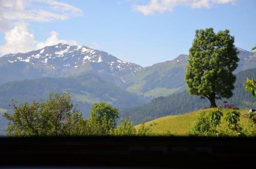 Hostal Gasthof Sch�ntal