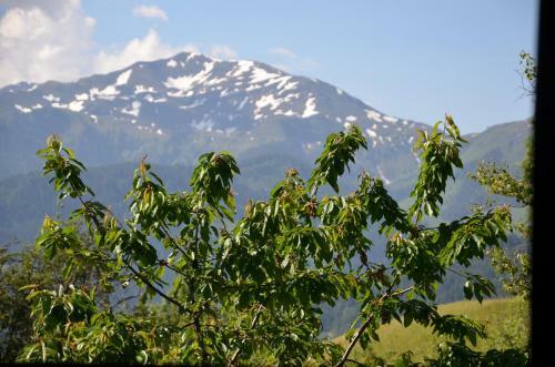 Hostal Gasthof Sch�ntal
