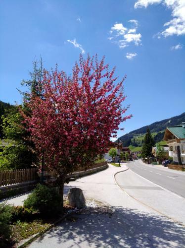Hostal G�stehaus Die Geislerin