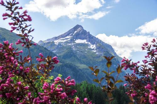 Hostal Pension Alpengruss