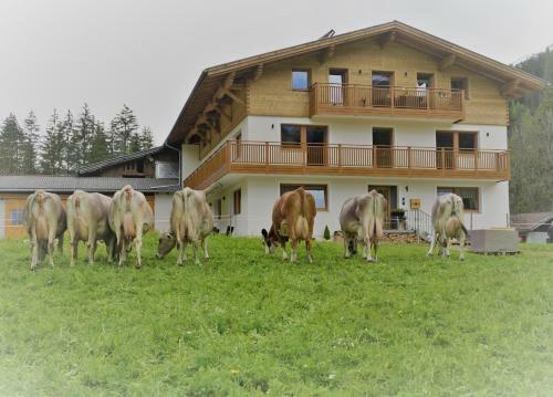 Apartamento Lechtal-pur-aparts
