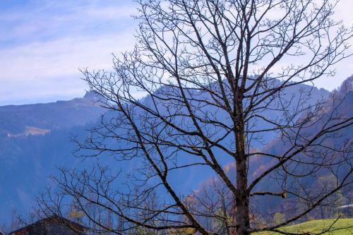 Apartamento Haus Am Wasserfall