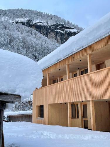 Wasserfall Apartments Mellau