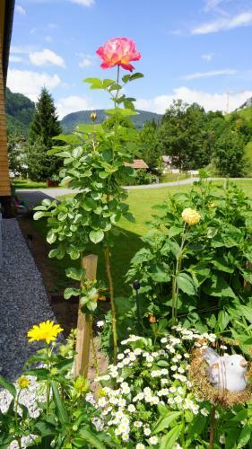 Apartamento Haus Edeltraud