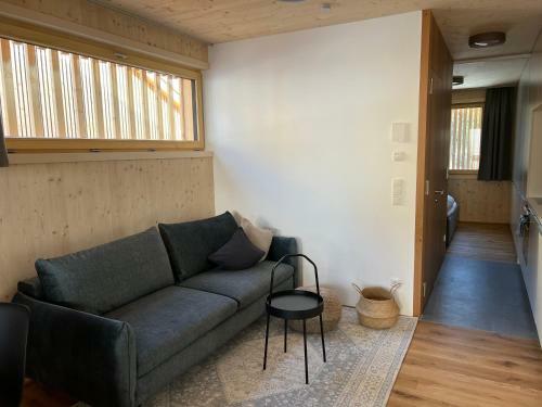 Smart Apartments Mellau