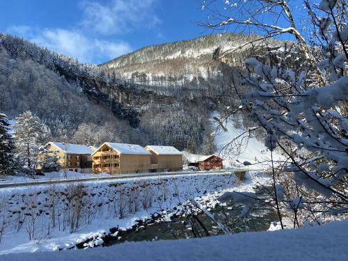 Smart Apartments Mellau
