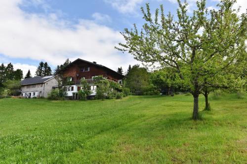 Apartamento Ferien In Feld 109