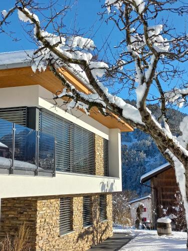 Apartamento Ferienhaus Raich