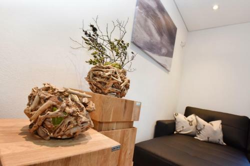 Apartamento Ferienwohnung Saxenhammer