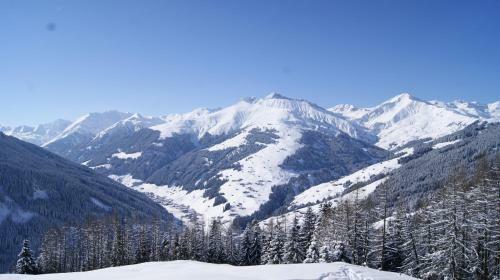 Apartamento Ferienwohnung Alpenheim