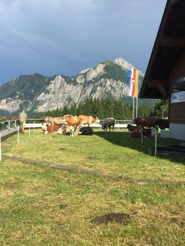 Apartamento Schiappartement Nassfeld