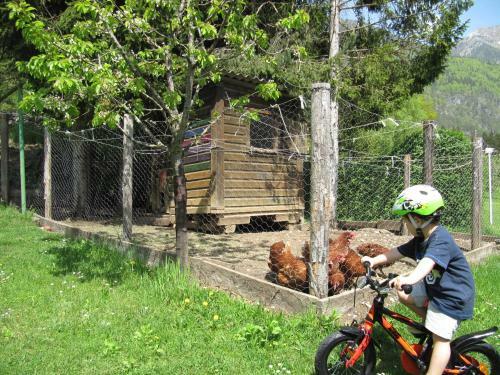 Apartamento G�stehaus Lindermuth