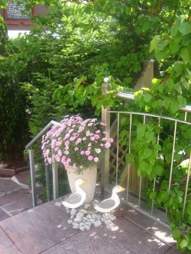 Bed & Breakfast G�stehaus Martha