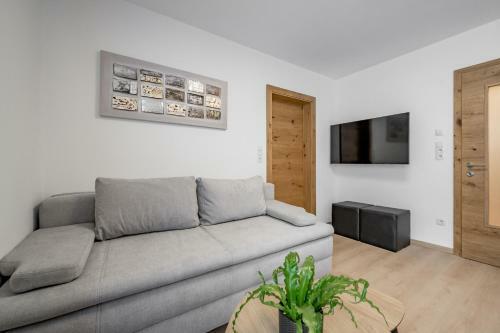 Apart Holzknecht