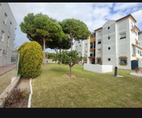 Apartamento Solymar 33