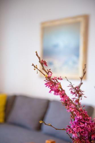 Apartamento Byron?s Home