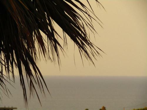 Aristos Apartments & Suites