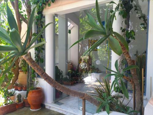 Apartamento Hotel Kleopatra