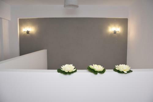 Apartamento Dream Studios