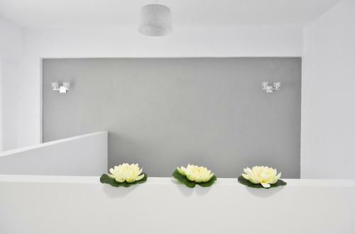 Apartamento Dream Studios