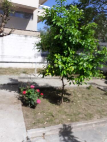 Apartamento Asteris Appartment