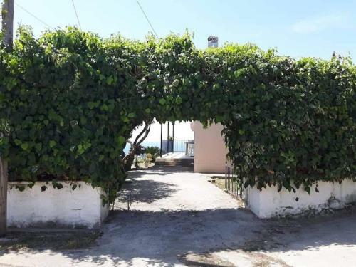 Apartamento Mema's Great View Kefalonia